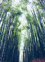 thumbnail_IMG_8341.jpg