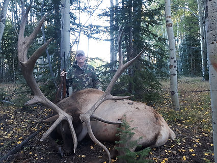 bull elk hunt