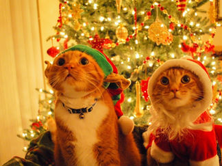 Merry Christmas! :D [BW name fixed]
