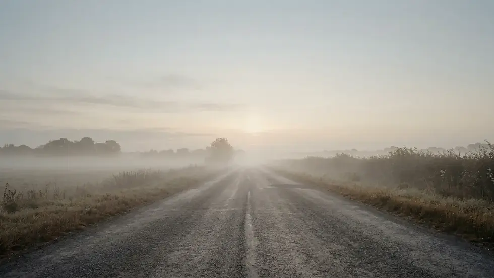 Foggy rural road at sunrise, empty lane stretching into mist past fields and trees under a pale sky.