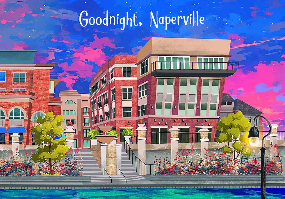Goodnight, Naperville Book (image)