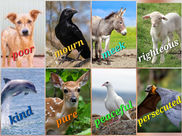 ലോകഭാഗ്യങ്ങൾ