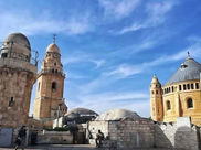 സെനക്കിൾ