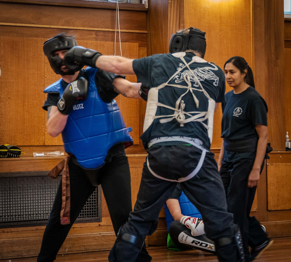 Martial arts student
