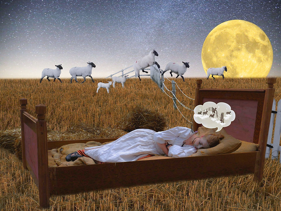 enfant endormi qui compte les moutons