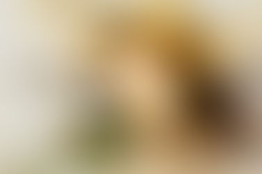 10 qualités d'un leader...