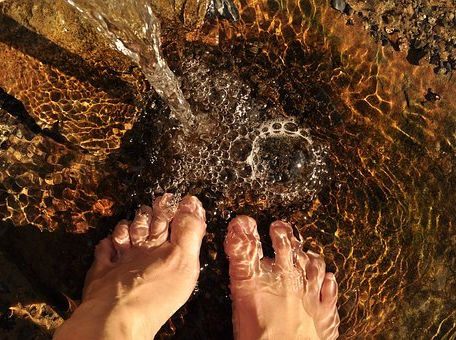 Un premier article... Passage à l'action