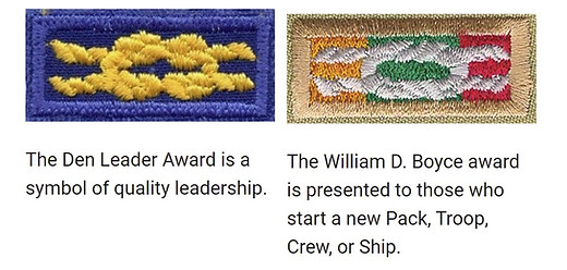 Adult Awards with Cub Scouts