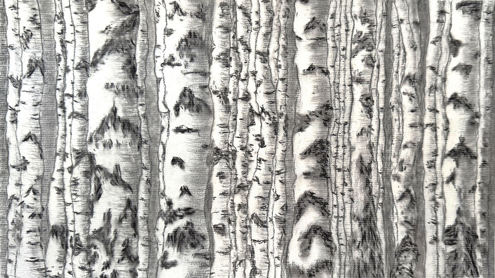 Zebra Trees