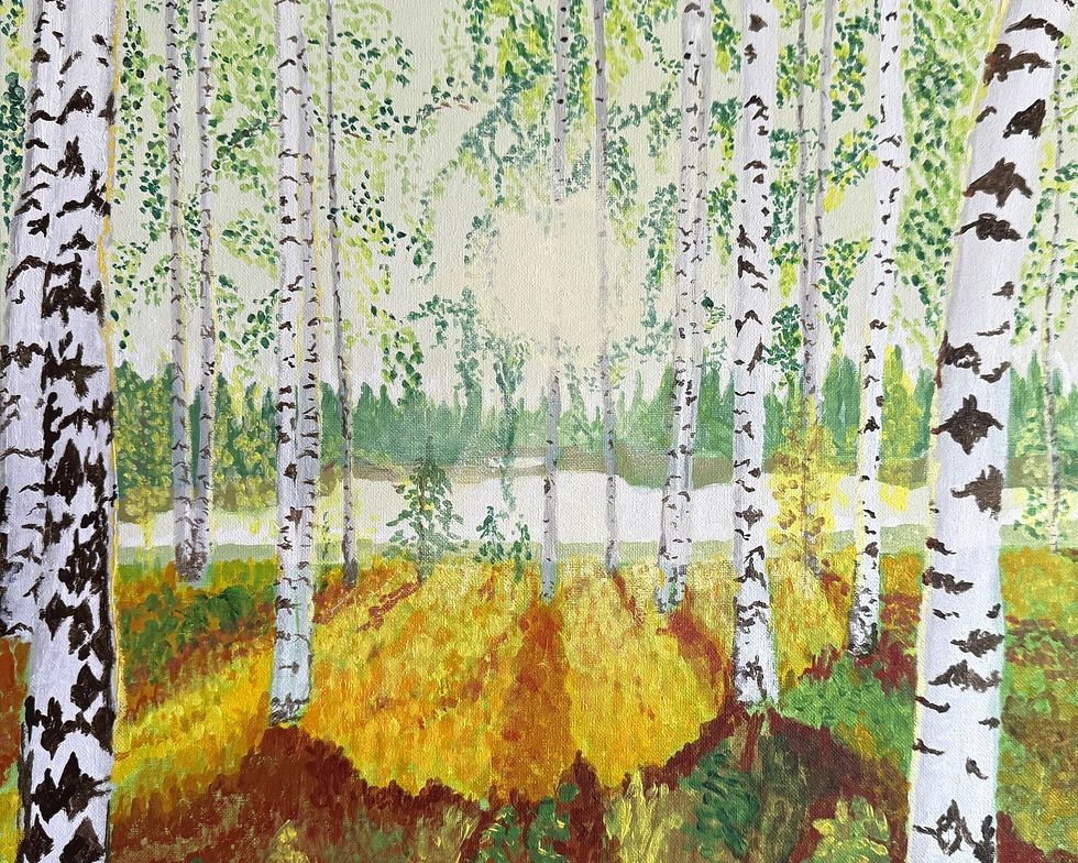 Birch Afternoon Sun