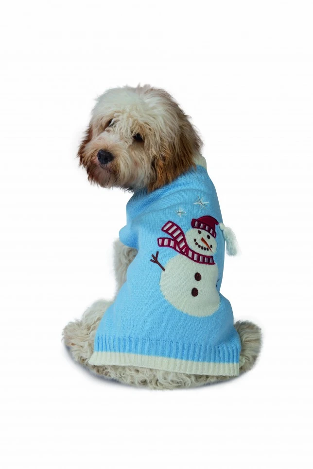 dog with snowman-jumper-blue.webp