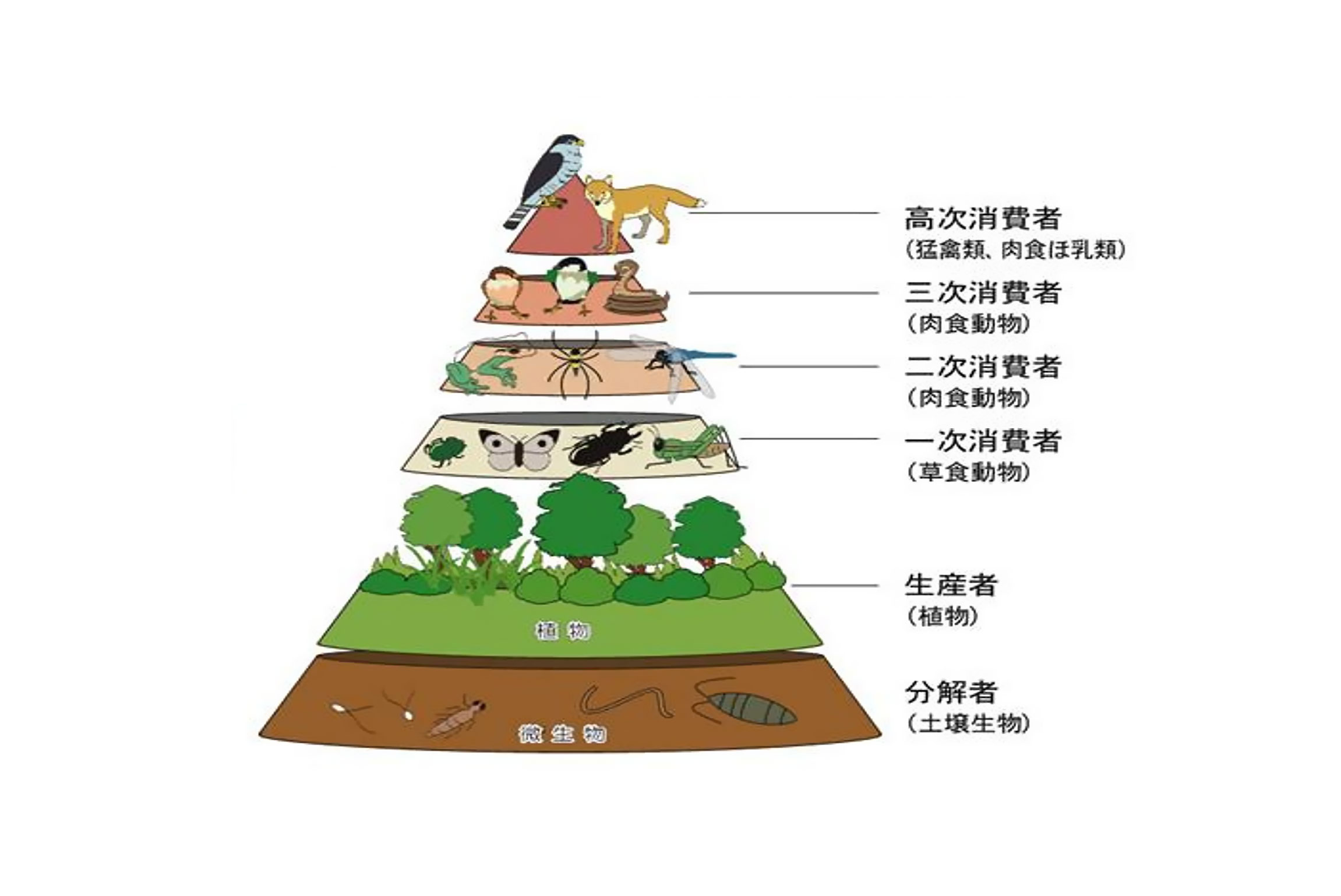順元山寺---典範保護區13-4.jpg