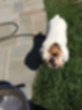 Charlie