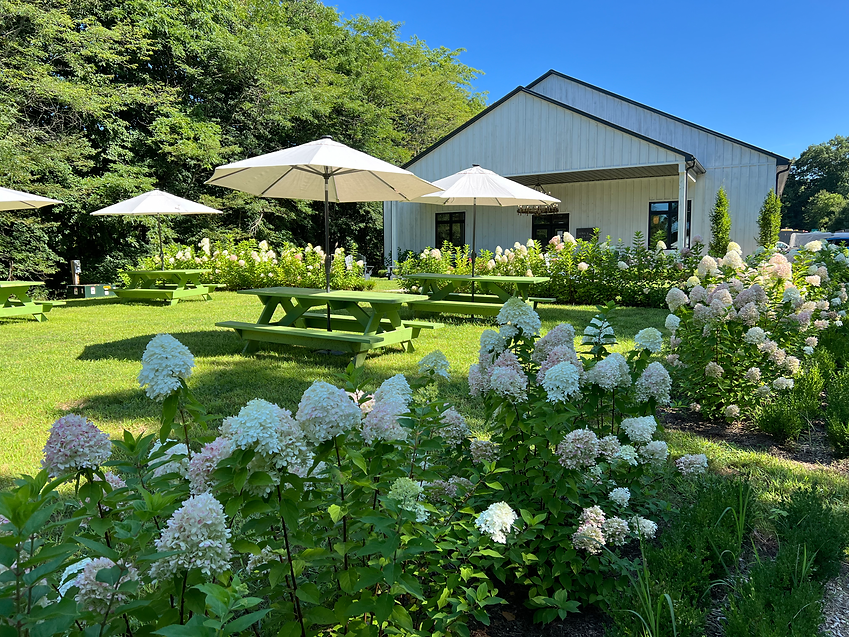Sons & Daughters Winery Welcome