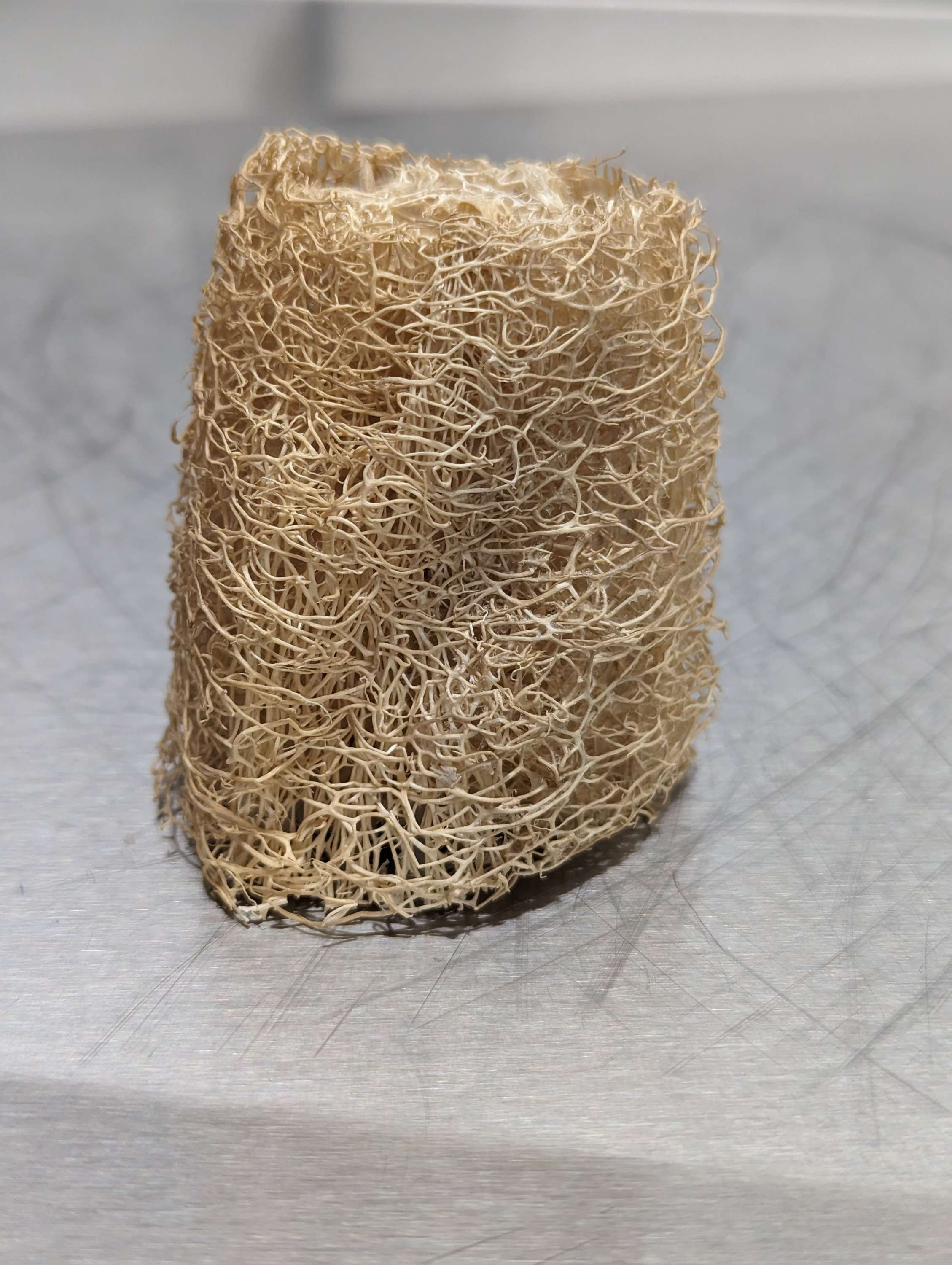 Exfoliating Body Scrubber Loofah Luffa Loofa Sponge