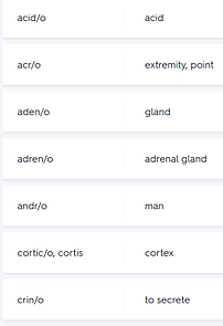 Screenshot 2025-10-18 121828.png