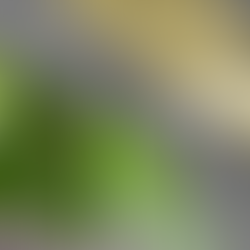 Geopolitics Disrupts The World's Biggest Climate Summit