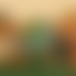 With New Geoeconomics, ASEAN Fires Back at Trump