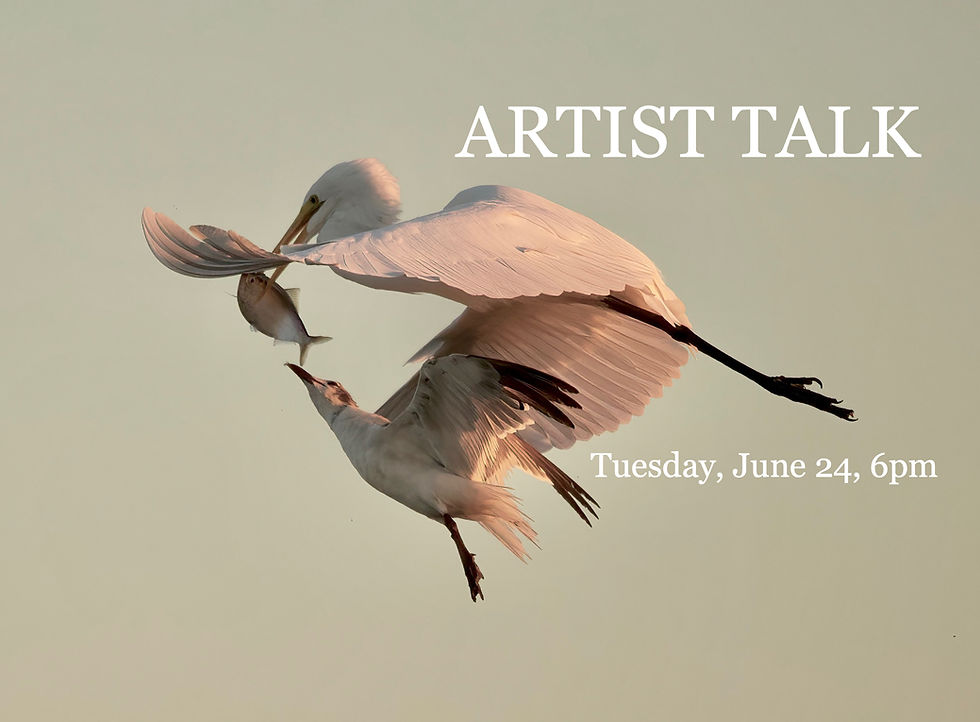 SALON DES ARTISTES - Birds in Flight and Black & White