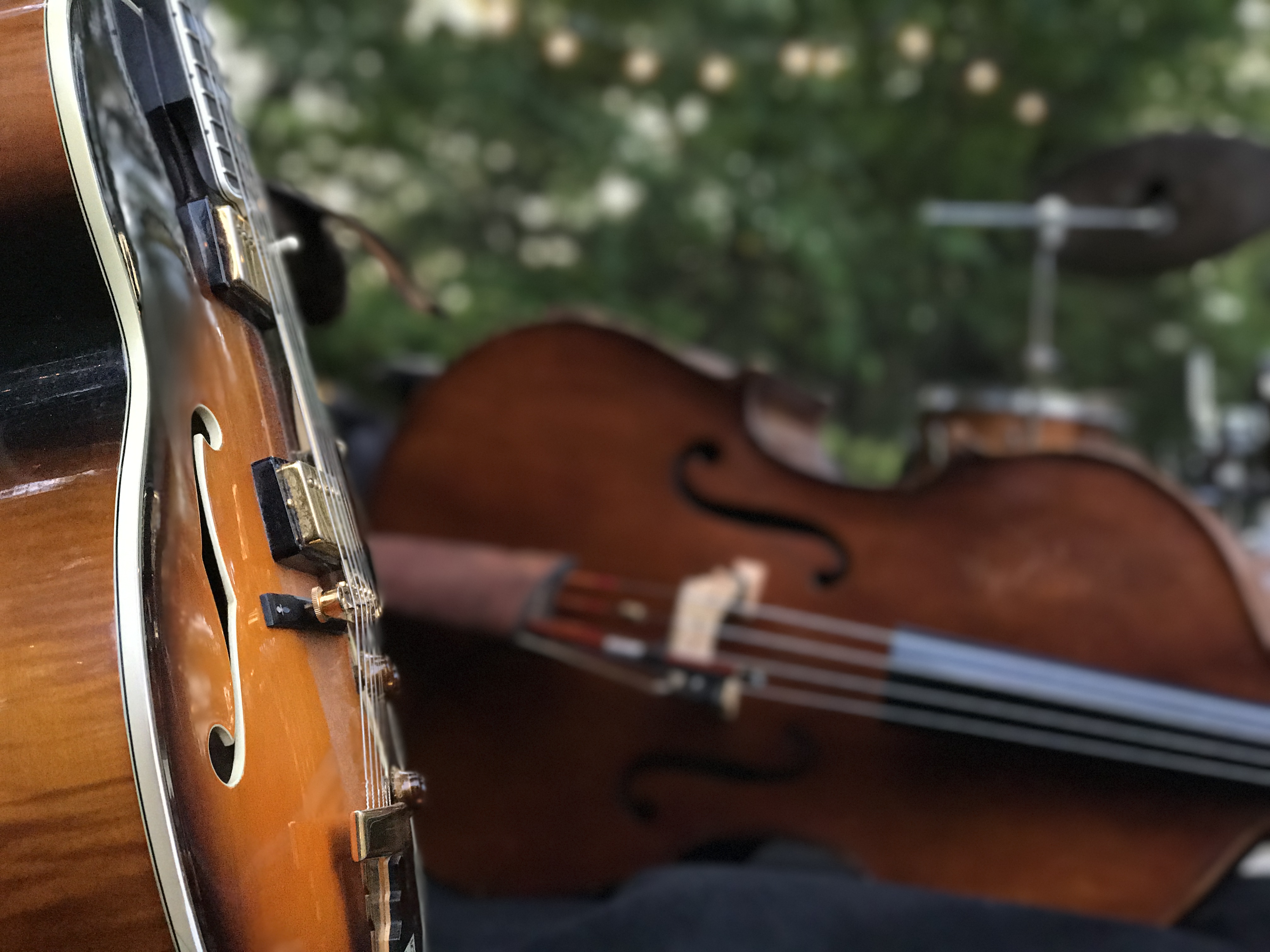 Arranged Food and Objects