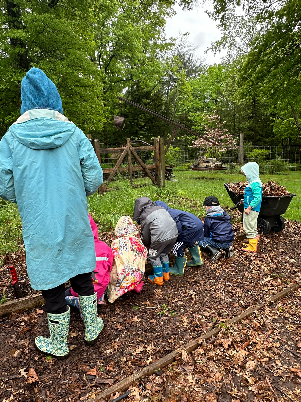 CGQD Kids in the Garden