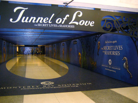 The Power of Large-Format Graphics in Retail and Event Marketing