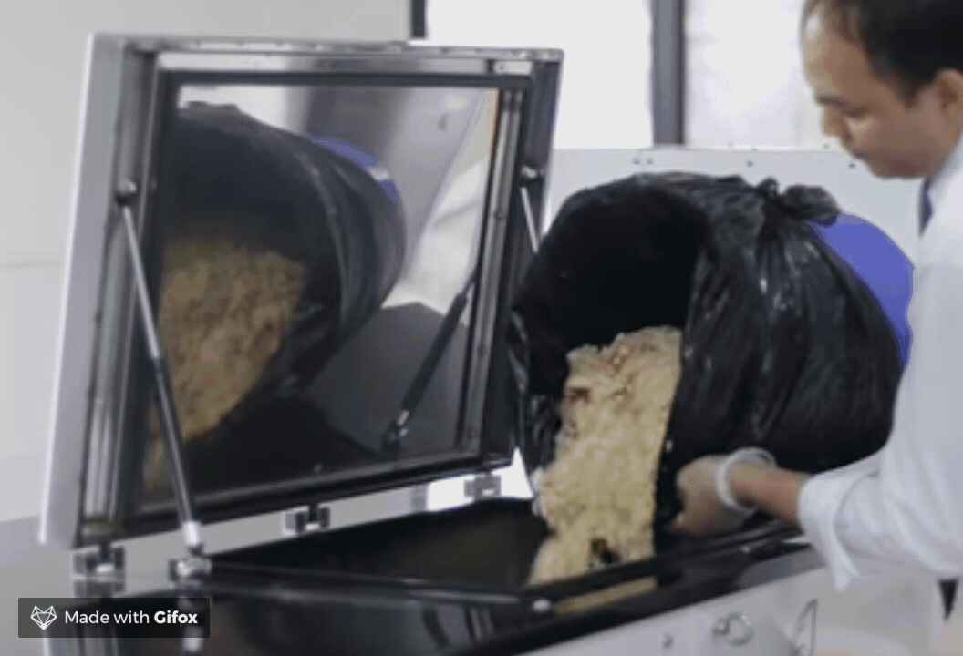 2019-04-03 11.21.57.gif
