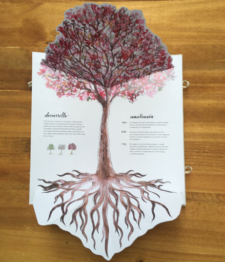 Libro PopUp de botánica para infancias