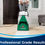 Thumbnail: Carpet/upholstery cleaning service 