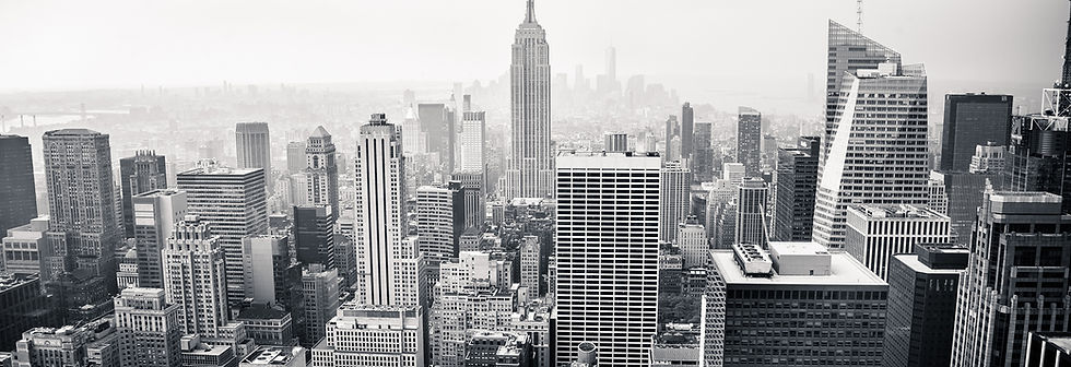 De Horizon van New York