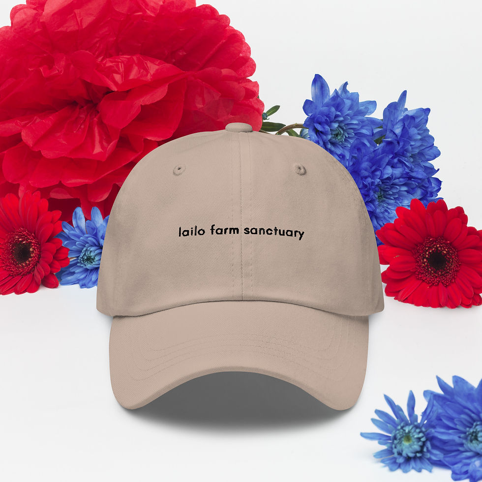 Thumbnail: Baseball cap
