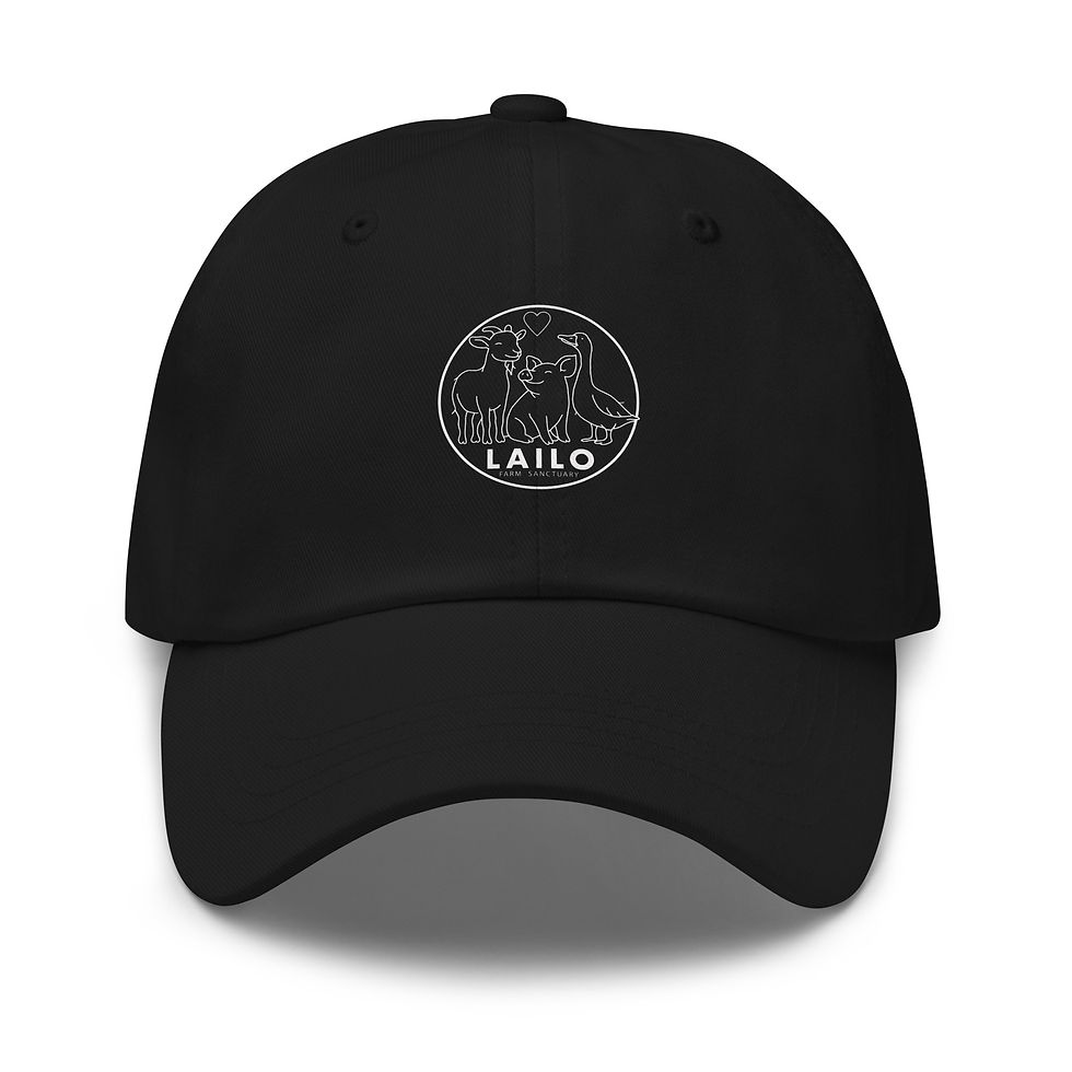 Thumbnail: Dad hat