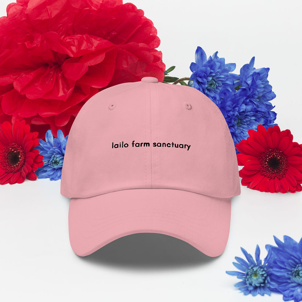 Thumbnail: Baseball cap