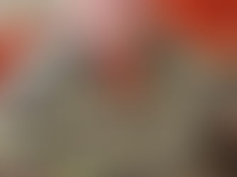 Desert Lifestyles Segment - December 21, 2025