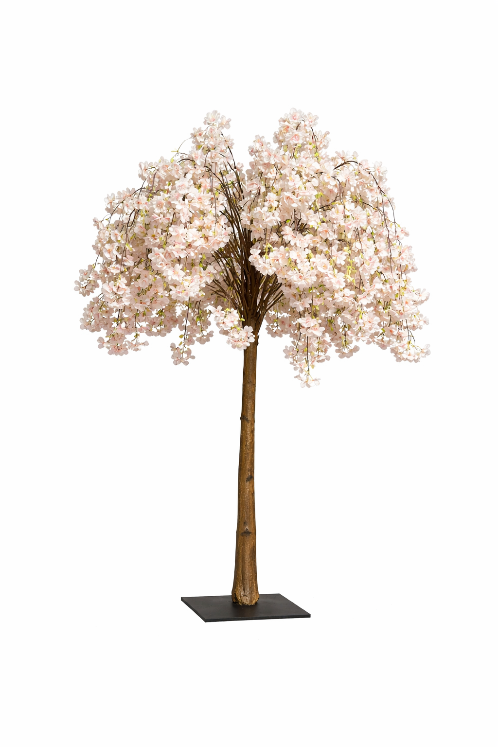 Canopy Cherry Blossom Tree - Blush