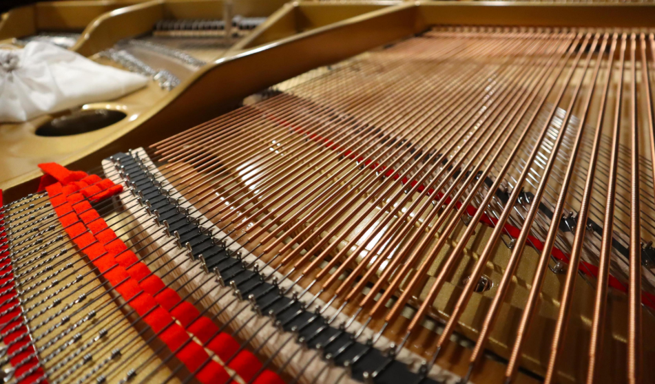Pianio opic 7.png