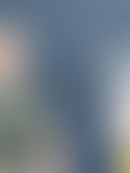 Bevilgning til to forprosjekter (Pilot Helse)