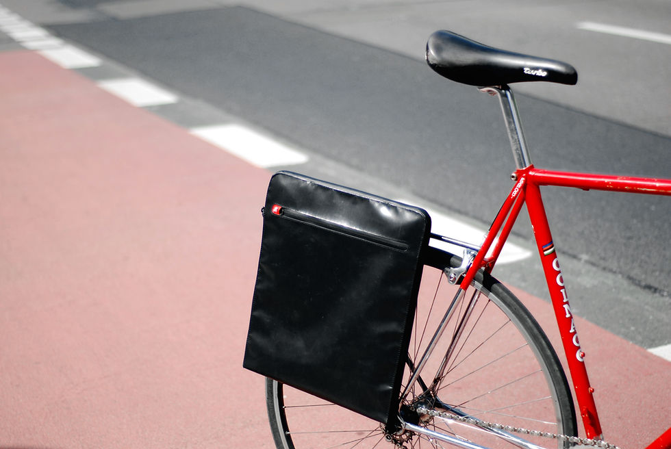 Green guru パニエ 自転車 バッグ パニエバッグ Amazon.co.jp: Green Guru Gear Free Rider Bike Pannier