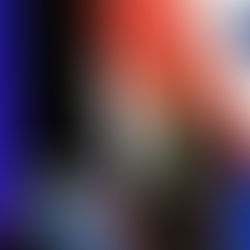 新中商业协会参加2023年新西兰中国商会峰会