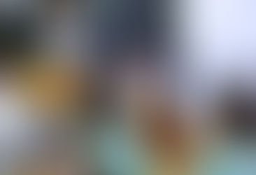 从危机到机遇:预防危机和投资规划讲座空前成功