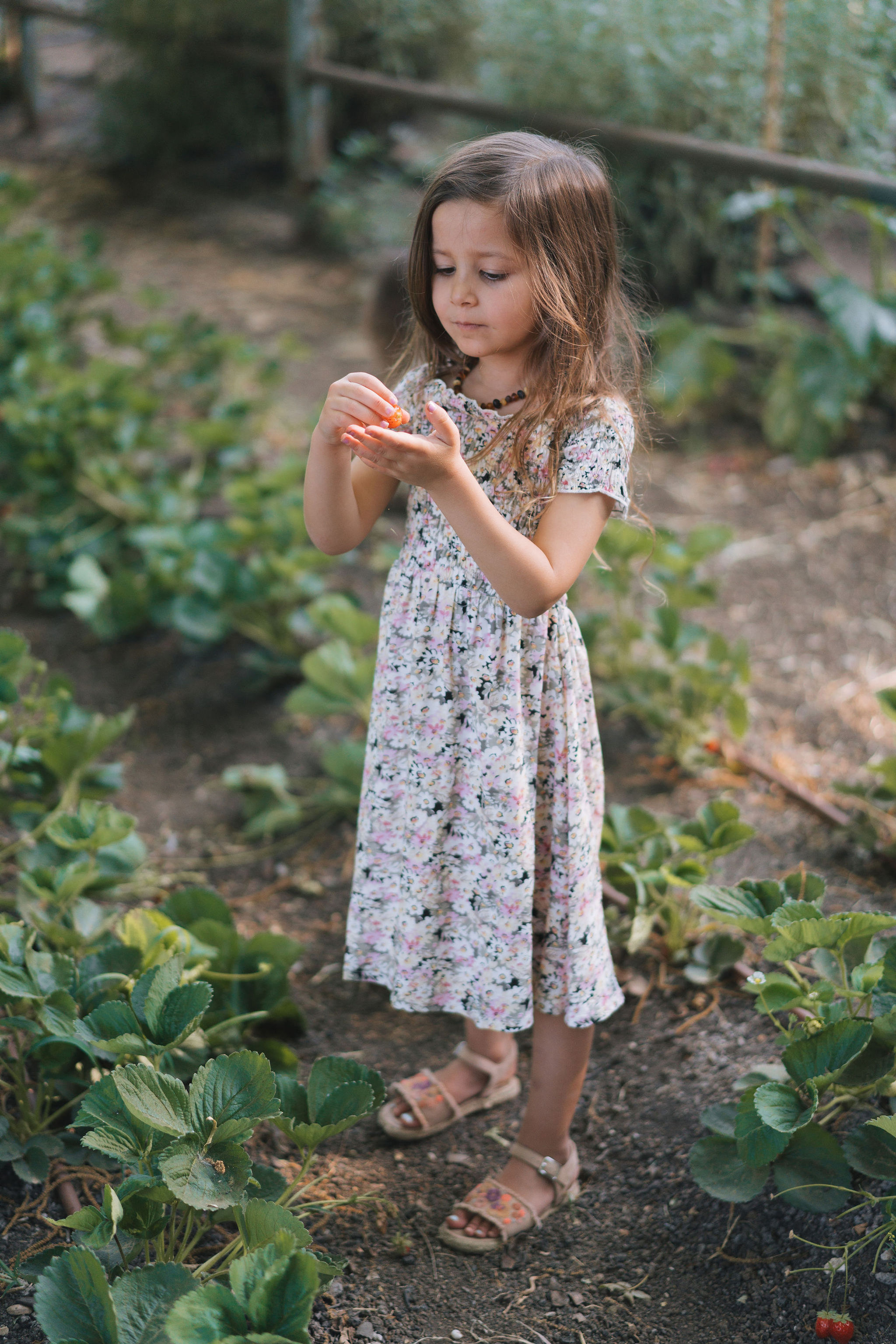 שמלת כיווצים נמתחת סגול פרחוני
