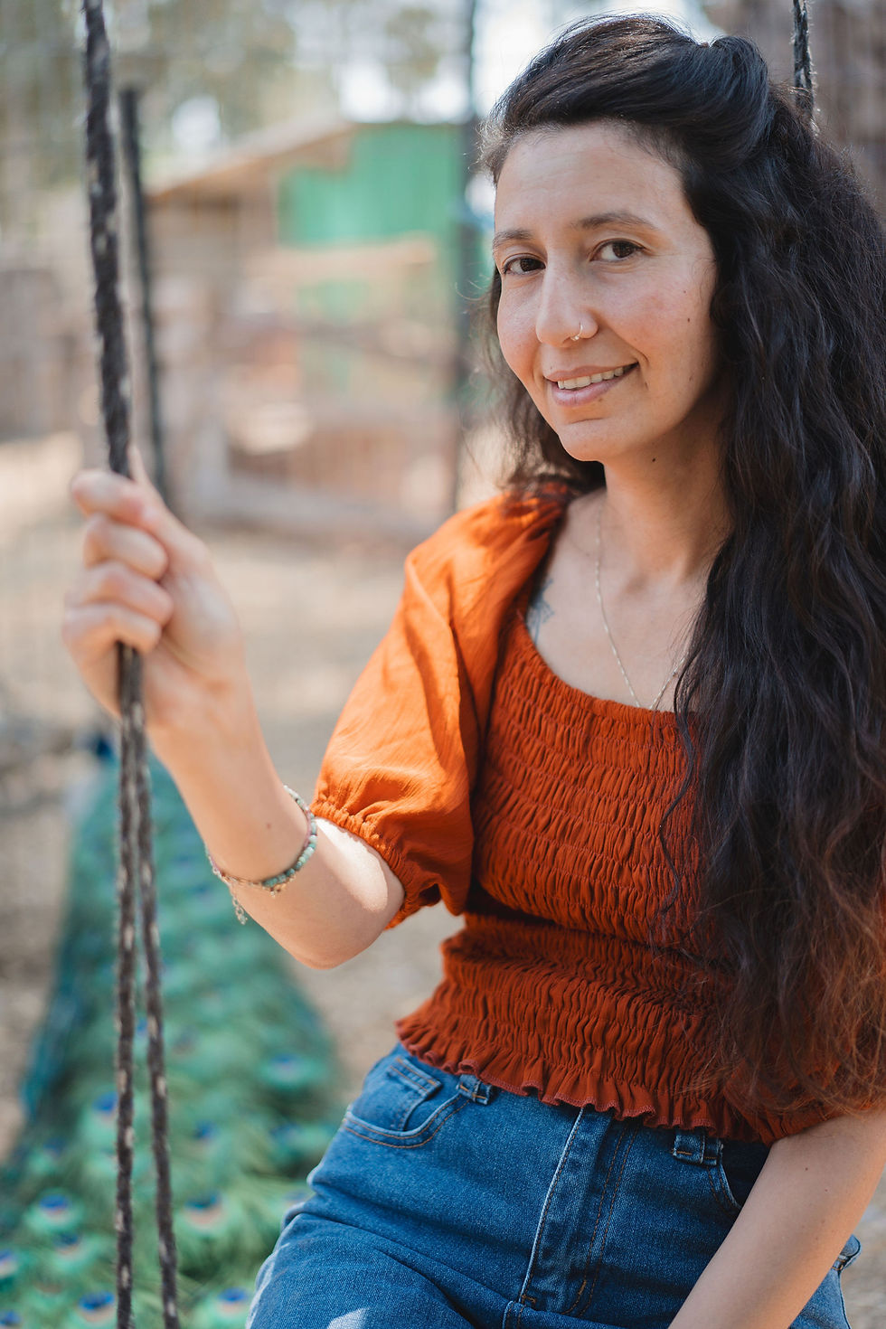 תמונה ממוזערת: Basic top: אדמת הבשן