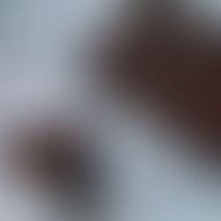 【2026】 必買伴手禮越南巧克力懶人包！介紹品牌、購買地點與防融化教學