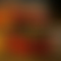 【2026年最新】ホーチミン2階建て観光バス完全攻略ガイド：夜景ツアーからチケット購入、ルートまで徹底解説