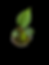Thumbnail: Anthurium RLFS F2 x RLFS RL