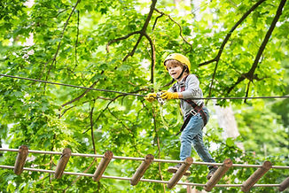 AdobeStock_282155679.jpeg