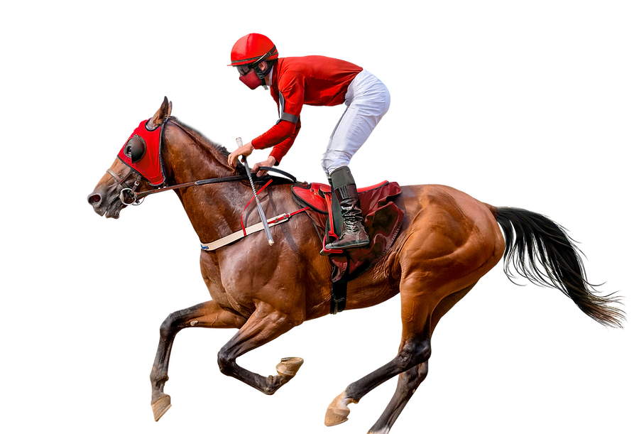 Horse.png