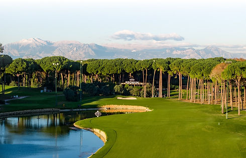 carya 1.jpg