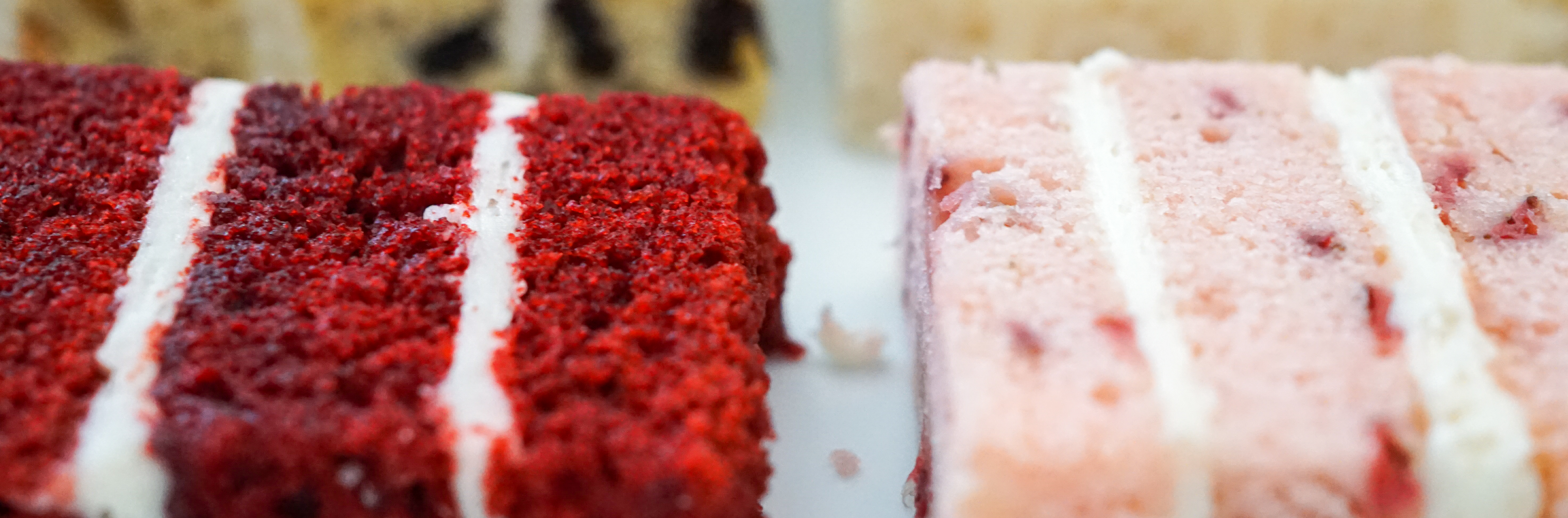 Cake Tasting.webp