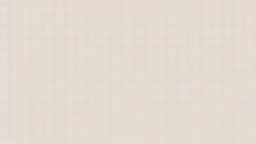 Peter Paul Wallpaper - Nutmeg 2.webp